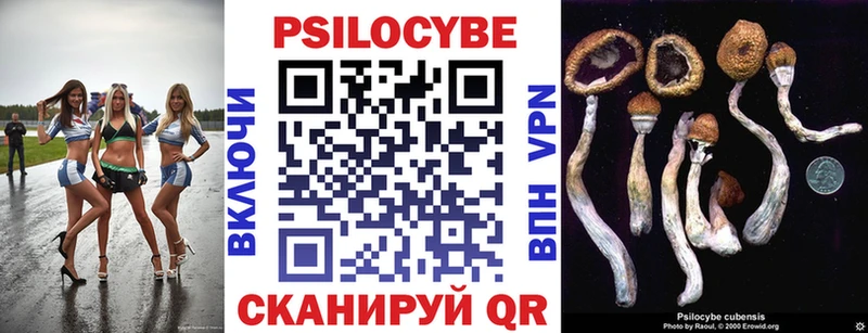 Псилоцибиновые грибы Psilocybe Саранск